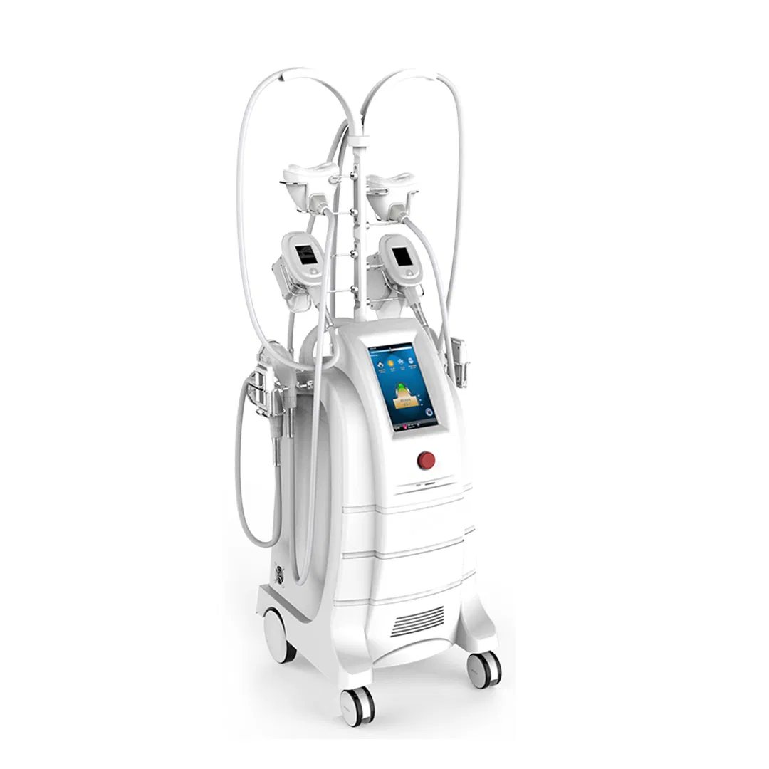 Wholesale Cryolipolysis Machine for Fat Reduction - Customizable Body Sculpting Equipment