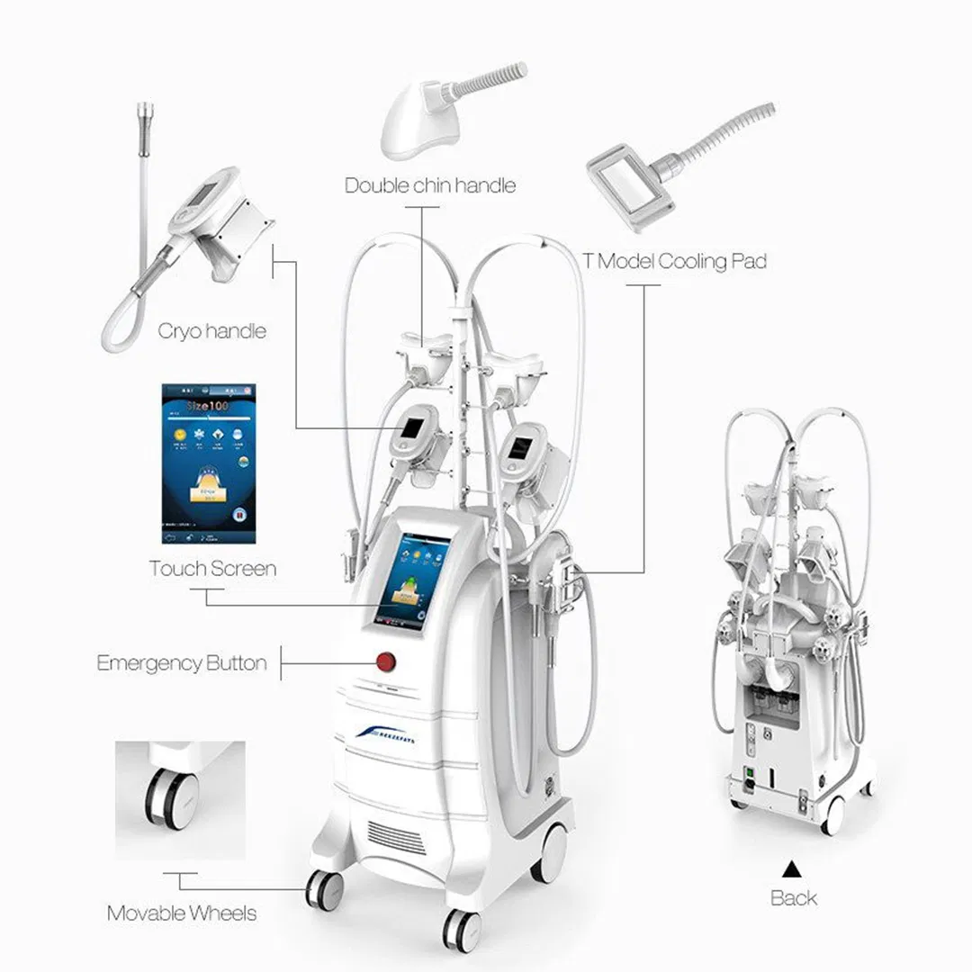 Wholesale Cryolipolysis Machine for Fat Reduction - Customizable Body Sculpting Equipment