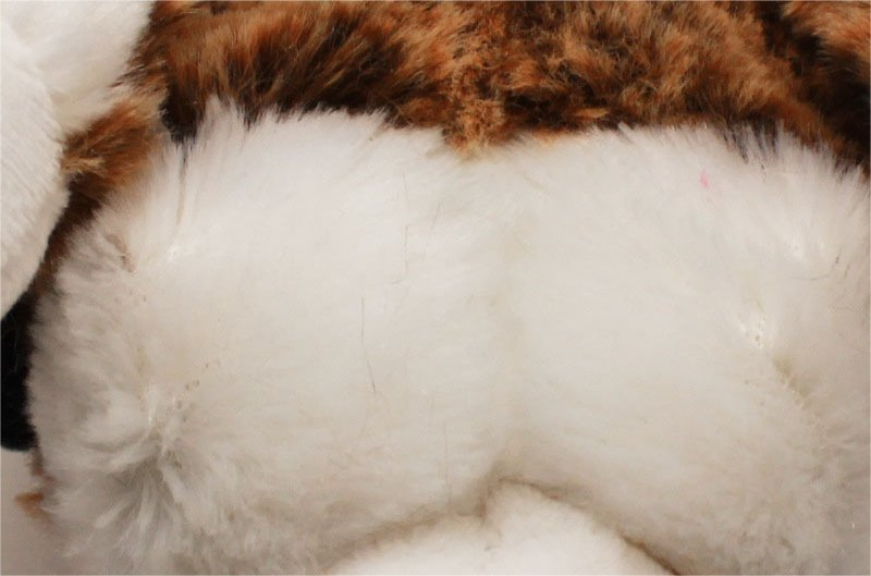 Factory Direct Supply CE Certified Pet Plush Toys - Carton Packed Grey Brown Animal Toys