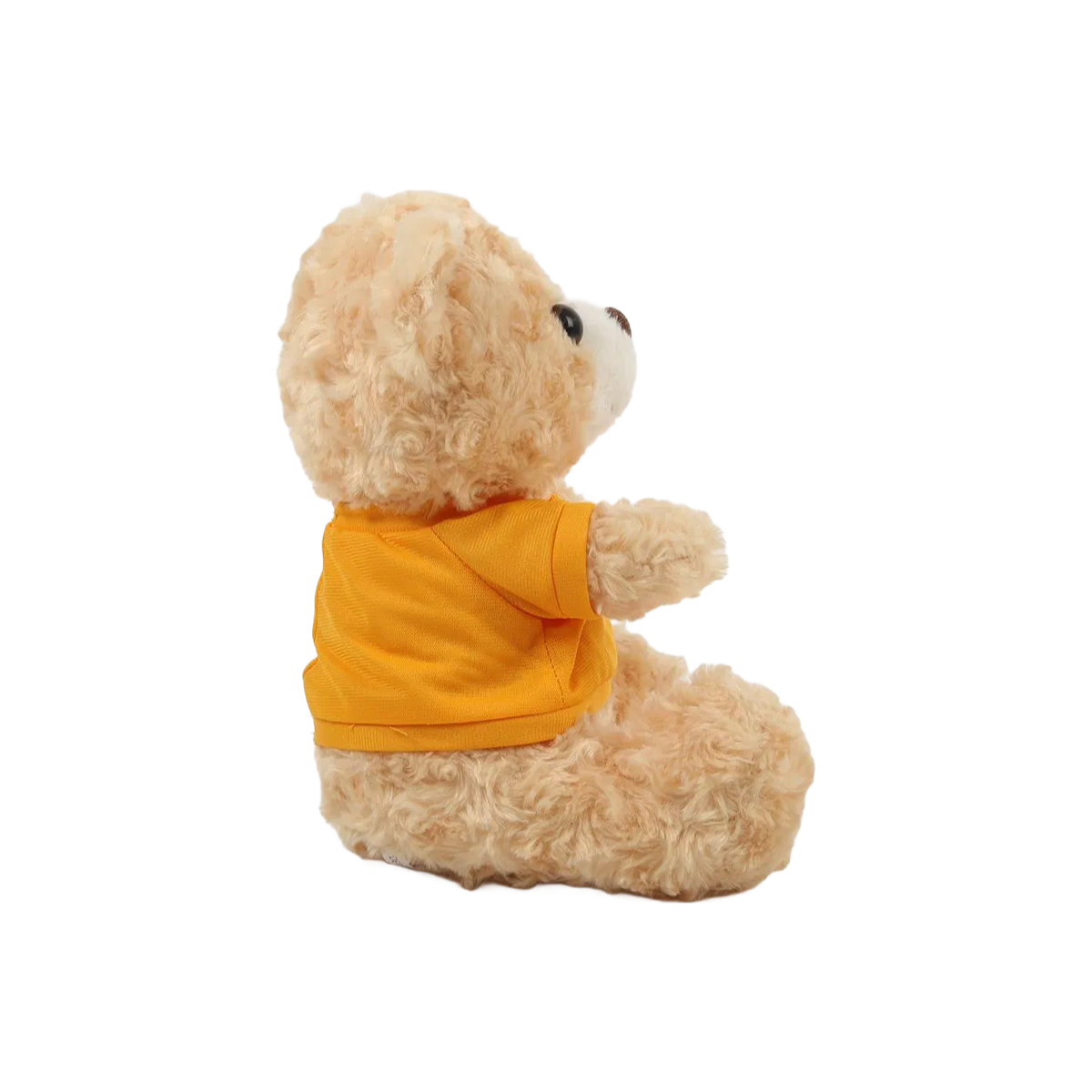 Wholesale OEM Halloween Themed Plush Bear Toys - Custom Sizes 20-60cm Available