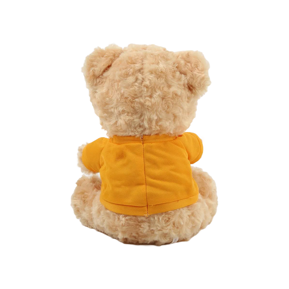 Wholesale OEM Halloween Themed Plush Bear Toys - Custom Sizes 20-60cm Available