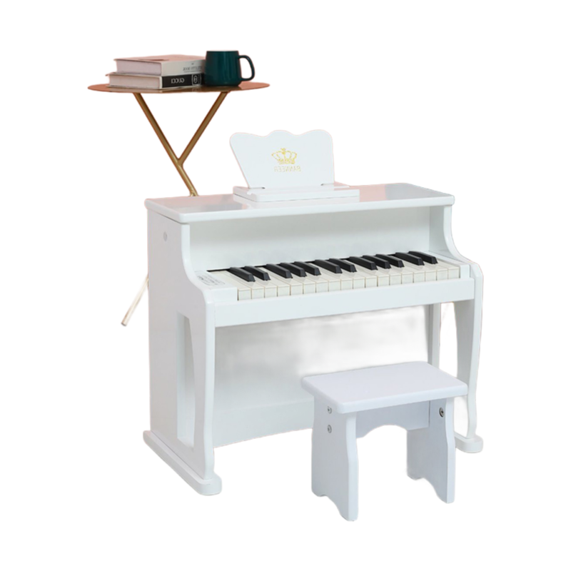 Factory Direct Supply MDF & ABS Material Educational Toy Piano with CE Certification