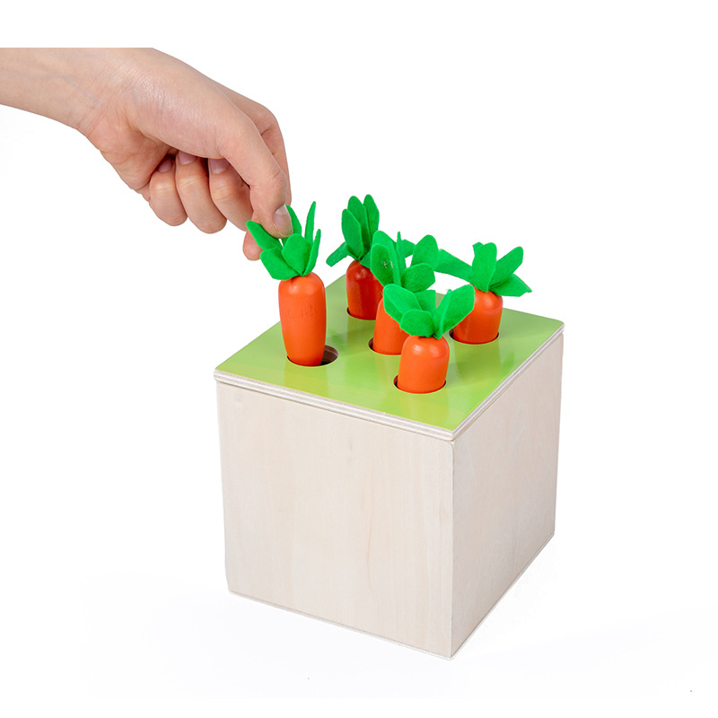 Premium Wooden Educational Toys Manufacturer - Water-Based Paint Safe Toys for Children