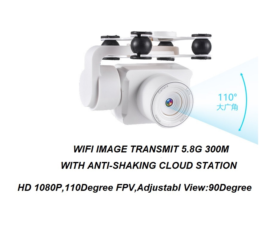 Flapping-Wing UAV for Agricultural Survey Industrial Mapping 1000m Radius, MOQ 2pcs, OEM, ISO9001