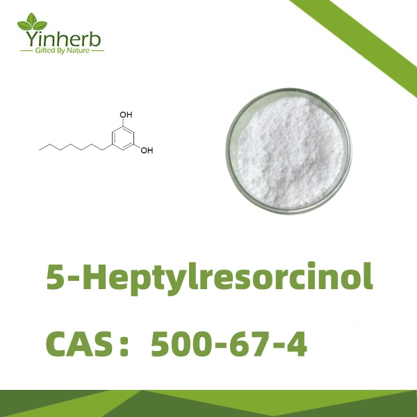 Pharmaceutical Manufacturing 99% Pure Trigonelline – GMP Certified, 1kg MOQ, OEM Supported