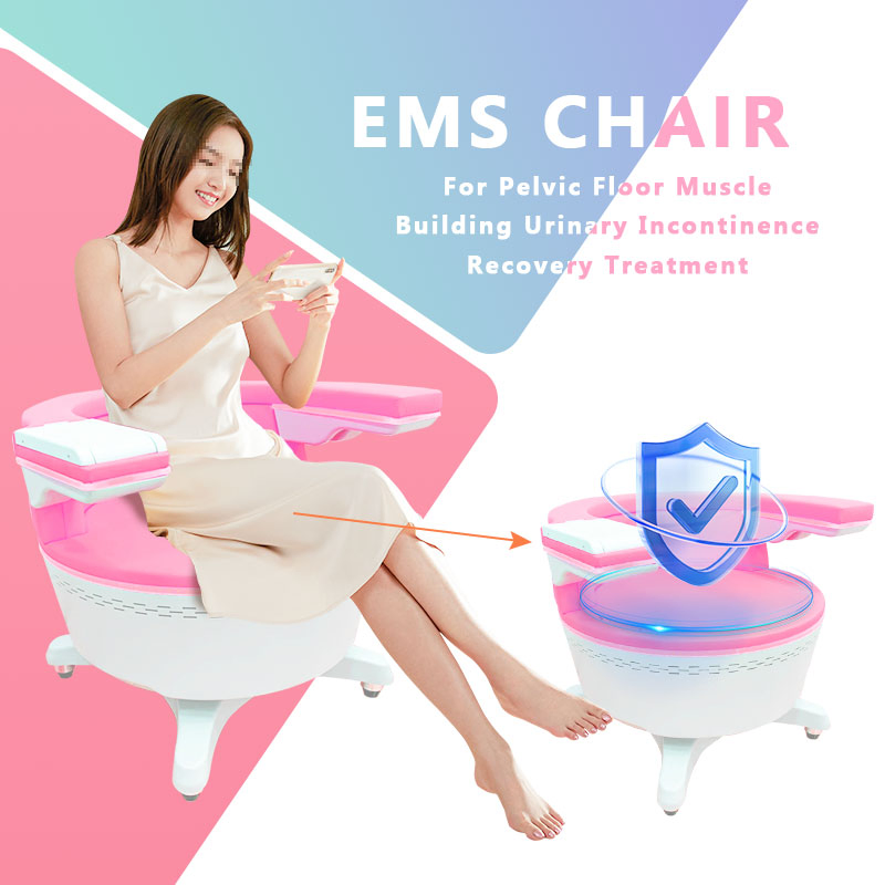 3000W EMS Pelvic Floor Stimulator Research Instrument – CE Certified, OEM Supported, Bulk MOQ Supply