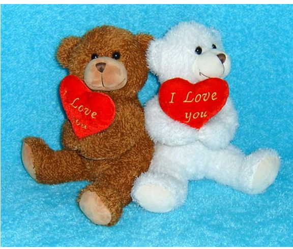 30cm Sitting Teddy Bear SGS-Audited Manufacturer – CE EN71 Certified, OEM, MOQ 500pcs, Export License